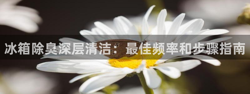 凯时游戏官方网站：冰箱除臭深层清洁：最佳频率和步骤指南